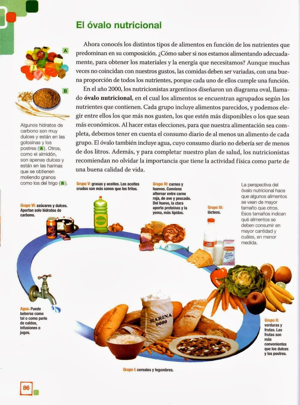 5° B de la Escuela Nº2 DE 17: Alimentos, óvalo nutricional y ...