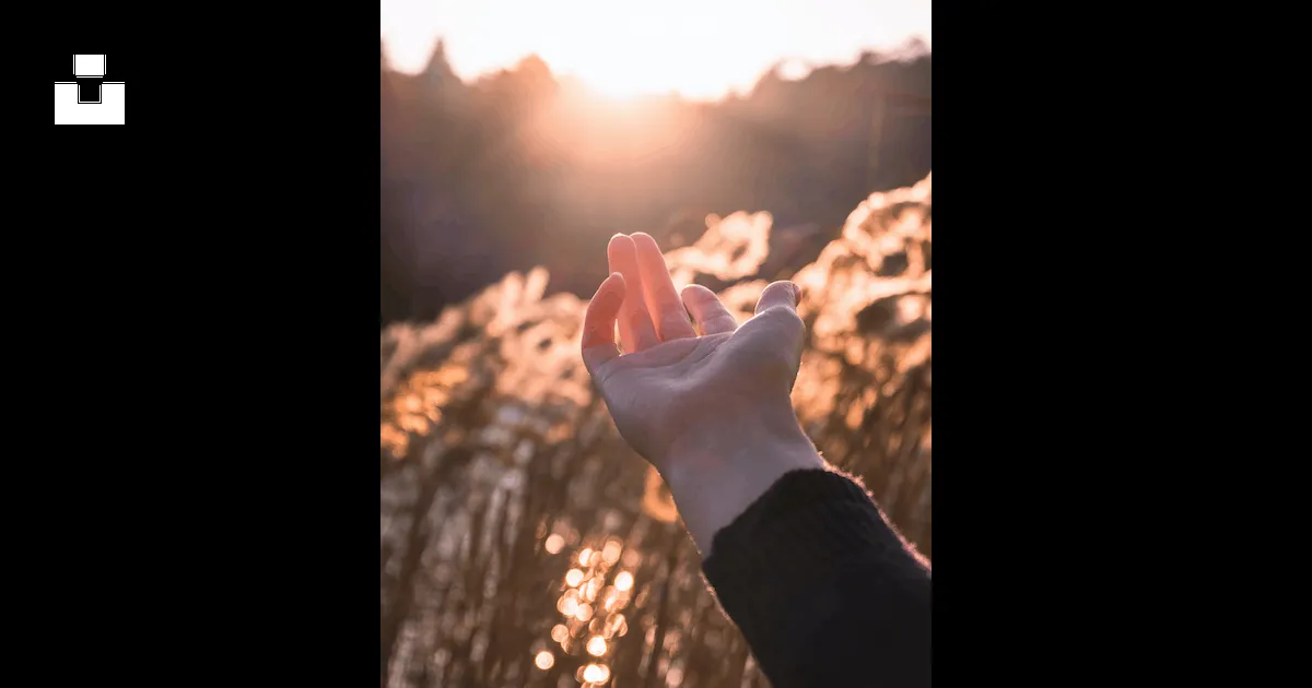 Más de 500 fotos de manos de chicas | Descargar imágenes gratis en Unsplash