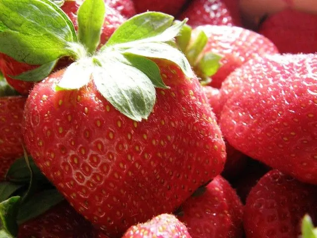 50#365 Fresas | Flickr - Photo Sharing!