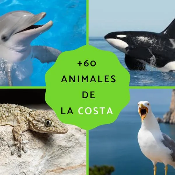 60 animales de la costa - Nombres, listas, características y FOTOS