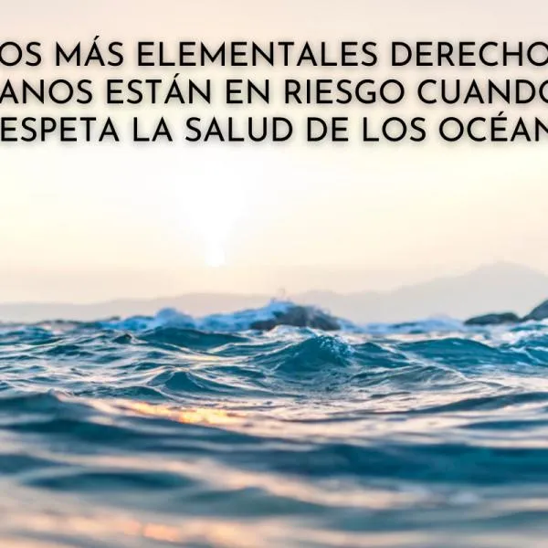 60 Frases para CUIDAR el AGUA - Ideales para REFLEXIONAR