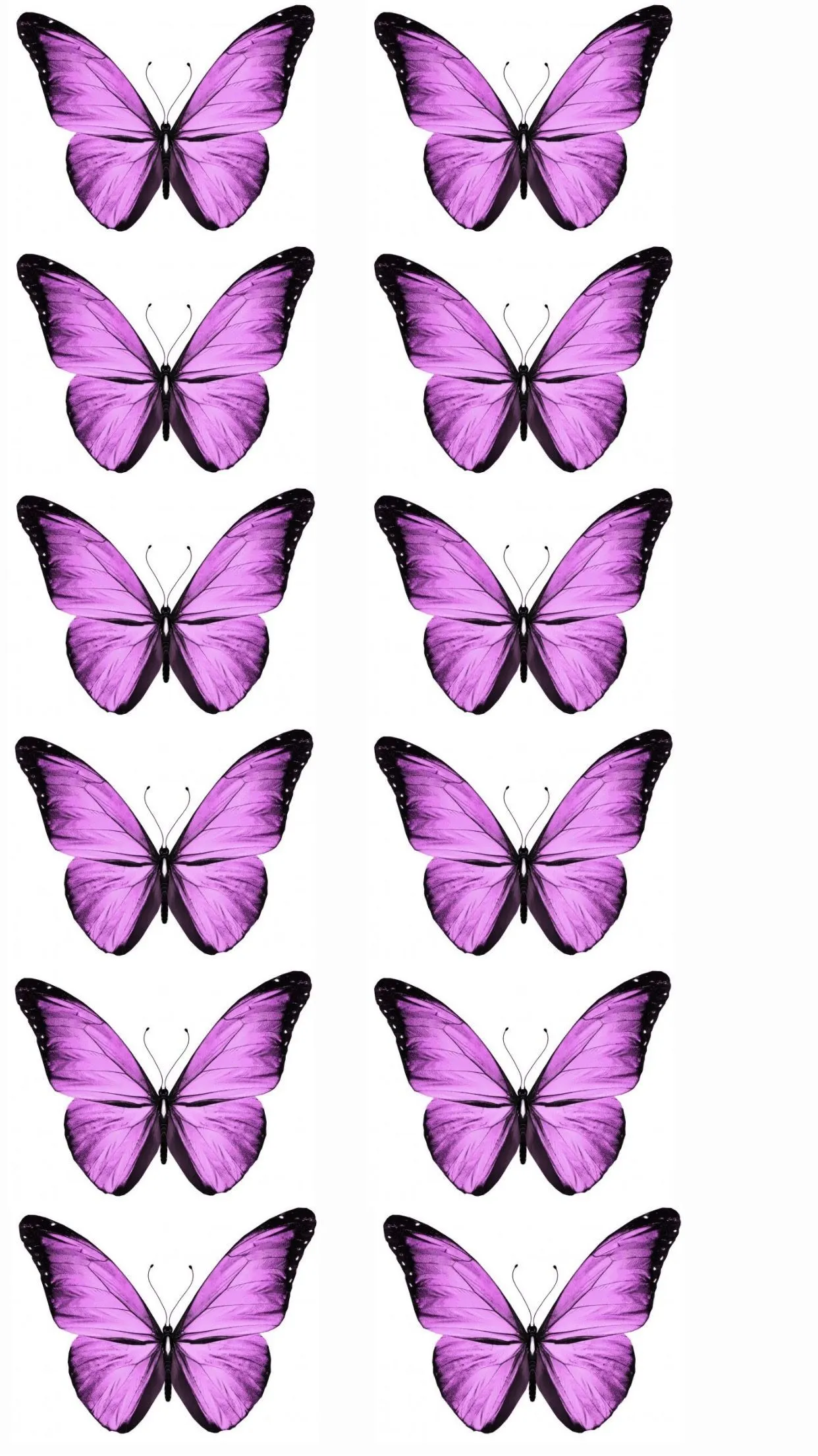 71 ideas de MARIPOSA en 2023 | mariposas para imprimir, decoración de unas,  imprimir sobres