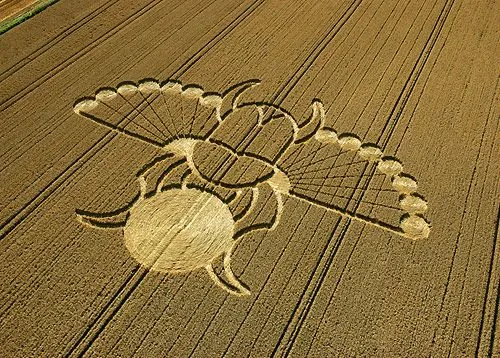 8-21-crop-circles-2005- ...