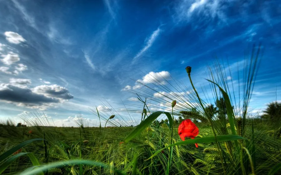  ... 99 fondos panorámicos de pantalla para enbellecer tu escritorio