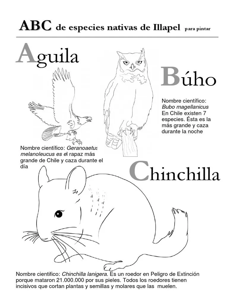 ABC Especiesnativa | PDF | Roedor | Puma