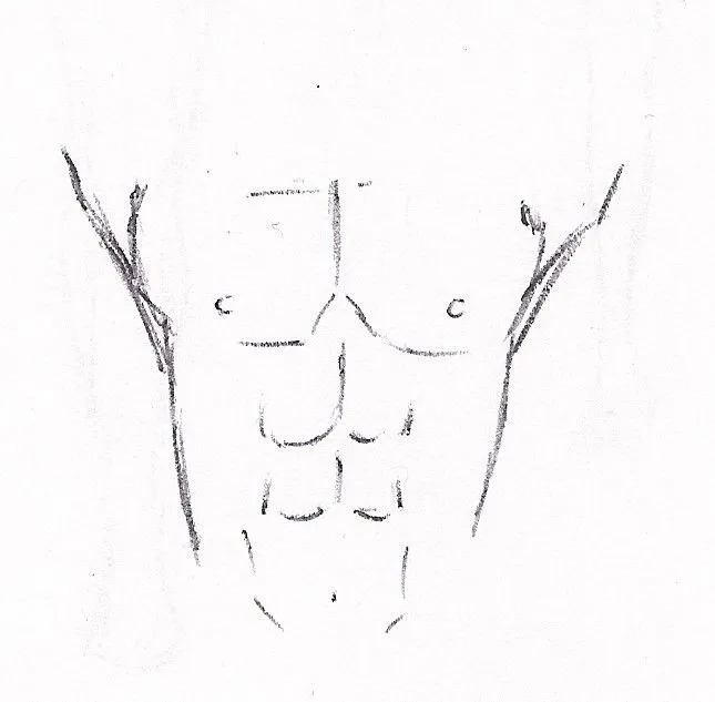 Abdomen dibujo - Imagui