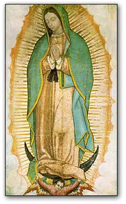 Abortion - Pro Life - Novena a Nuestra Señora de Guadalupe