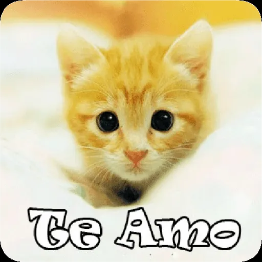 About: Gatitos con Frases de Amor (Google Play version) | | Apptopia