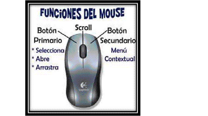 Las partes del Mouse - Imagui