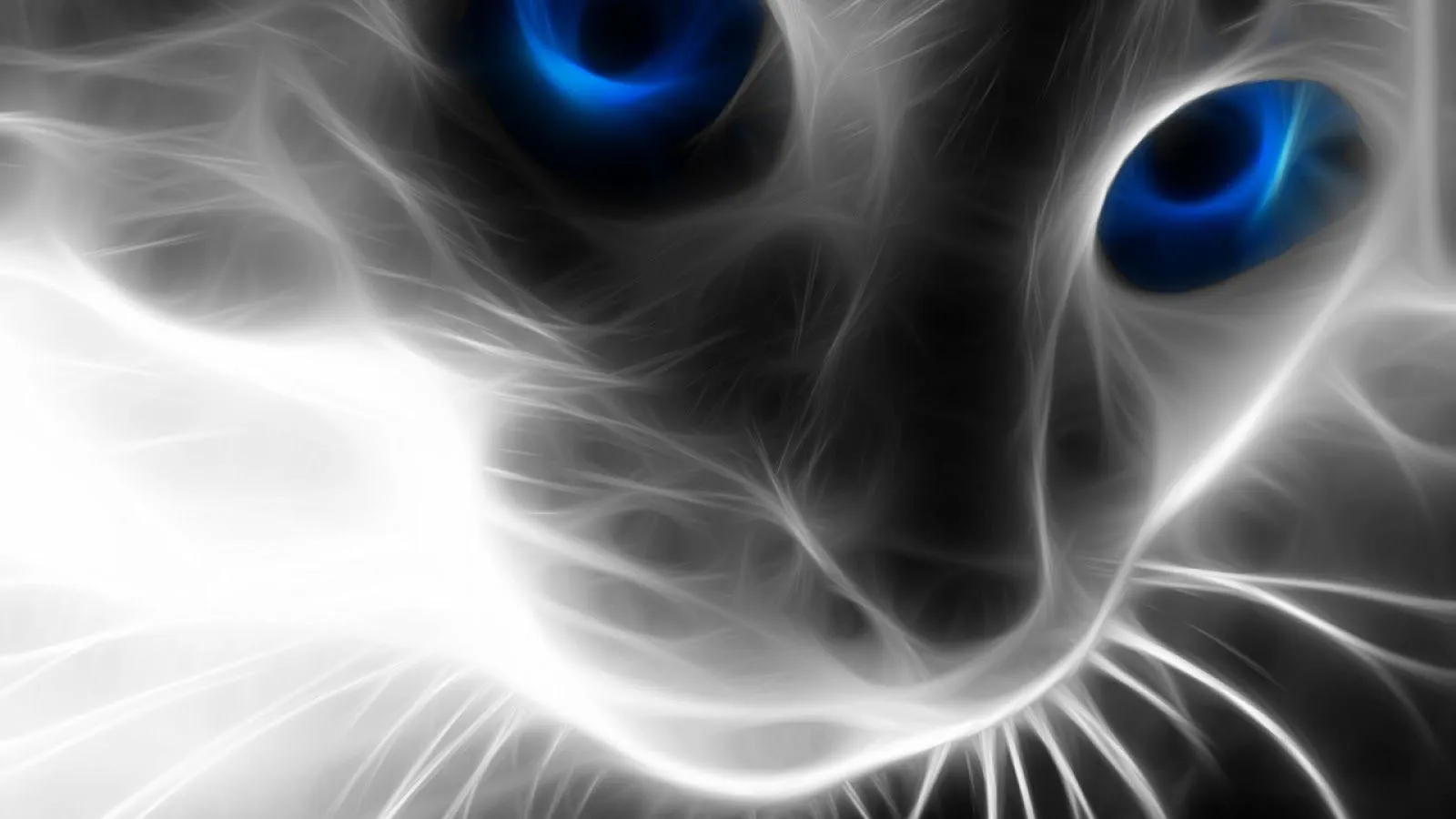 Abstracto ojos de gato - Fondos de Pantalla HD - Wallpapers HD