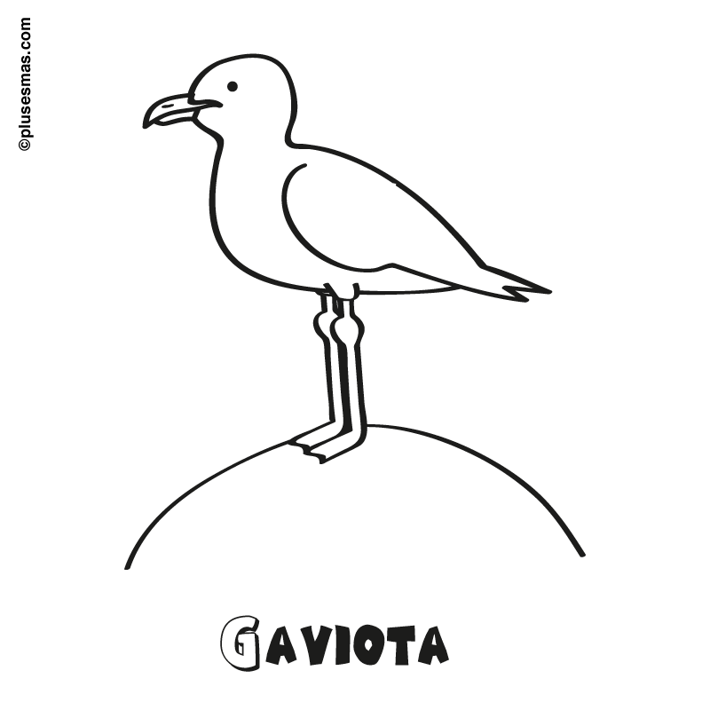 Como la gaviota Colouring Pages (page 2)