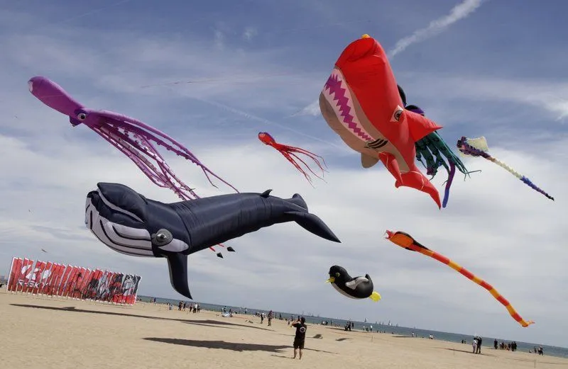 Aburrido en la playa? Aquí te dejamos 23 planes para alegrar tus ...