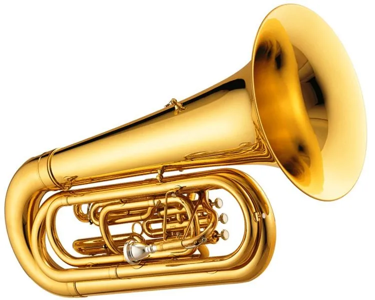 Academia de Bellas Artes de Santa Cecilia: TUBA (