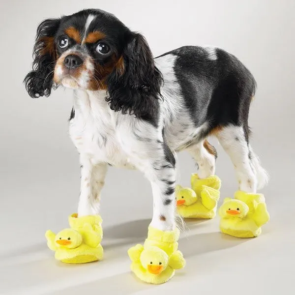 Accesorios para Perros: ¡Amarillo Patito!