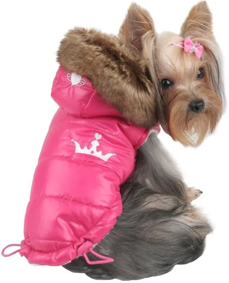 Accesorios para Perros: Ropa para Perros igual a la tuya!