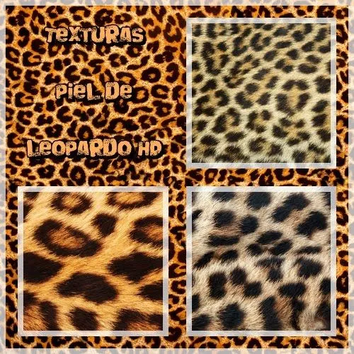 AccionglobalXSoft: Texturas piel de leopardo HD [