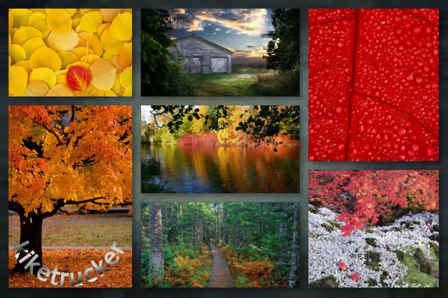 AccionglobalXSoft: Wallpapers Otoño HD - Pack 2 [Varios servidores]