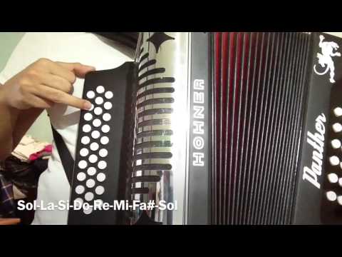 Acordeon--De | Triton TV