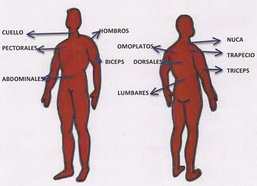 Actitud postural | Axis