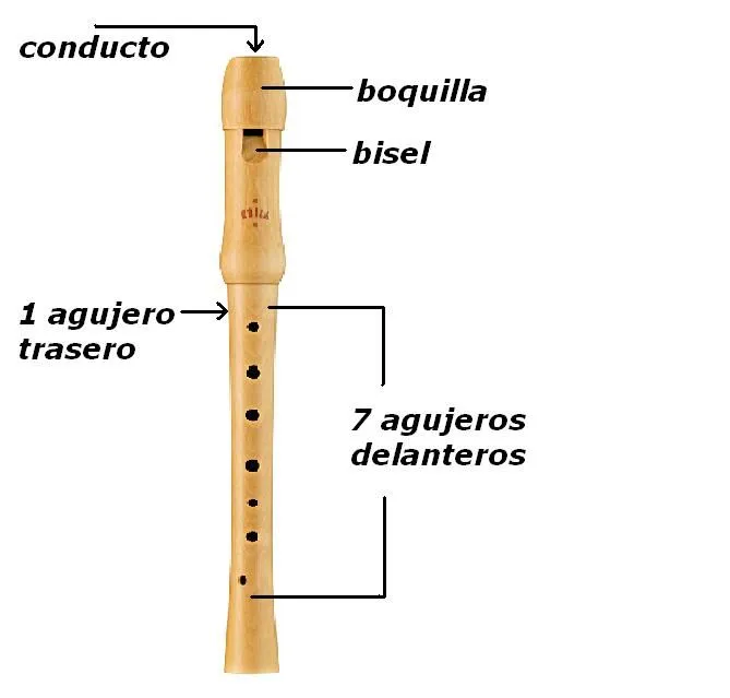 actividad 6