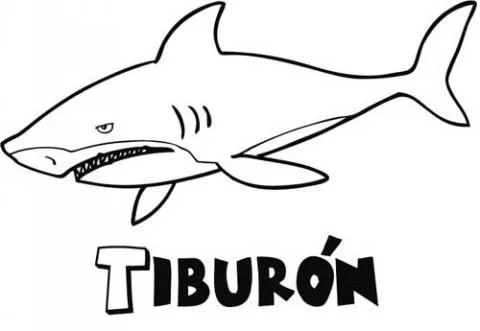 Tiburon para dibujar - Imagui