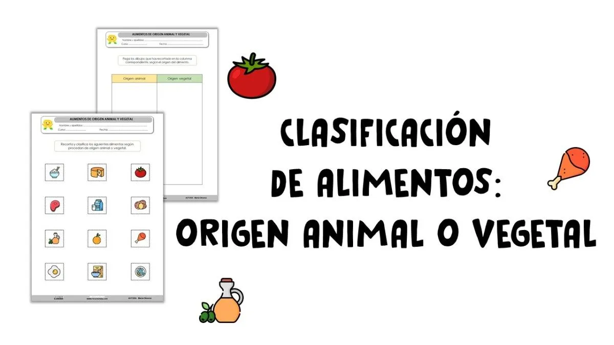 Actividad manipulativa: Clasificación de alimentos, origen animal o vegetal