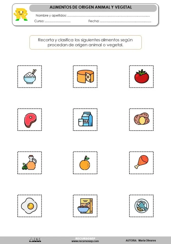 Actividad manipulativa: Clasificación de alimentos, origen animal o vegetal