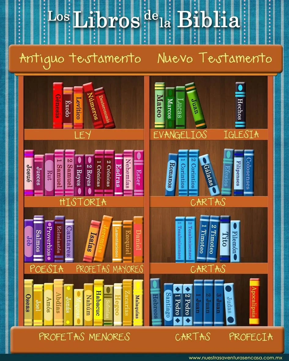 Actividades para aprendizaje de libros de la Biblia | ObreroFiel