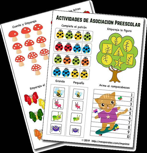 Actividades de Asociación para Preescolar