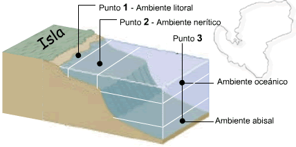 Actividades Biología y Geología