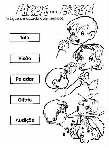 ACTIVIDADES DE CIENCIAS PARA NIÑOS