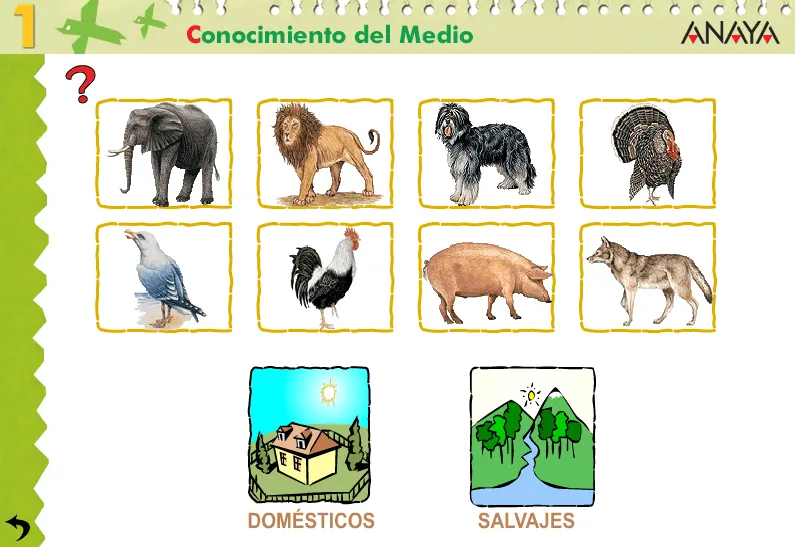 Cono de Primero: Tema 5 LOS ANIMALES DOMÉSTICOS Y SALVAJES