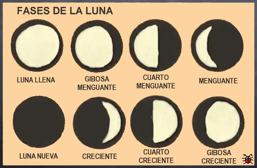 Actividades para Educación Infantil: 11 actividades para trabajar la LUNA  (1 de 2)