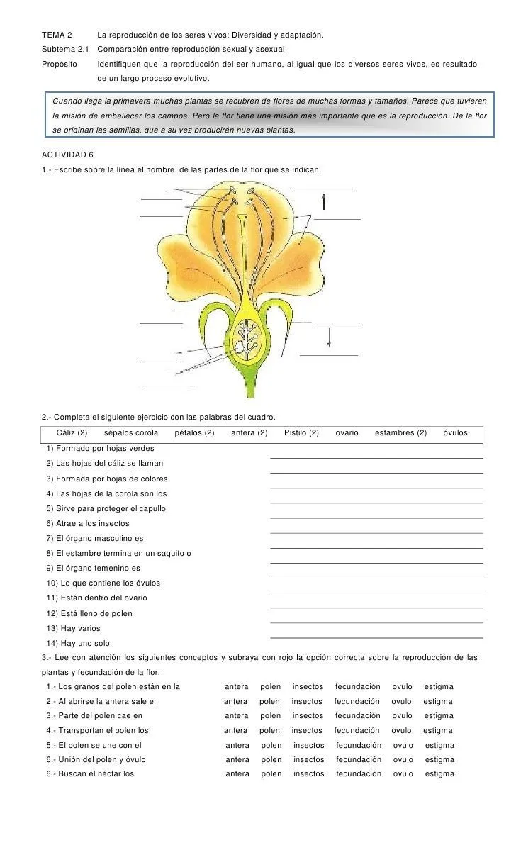 Actividades para enlace