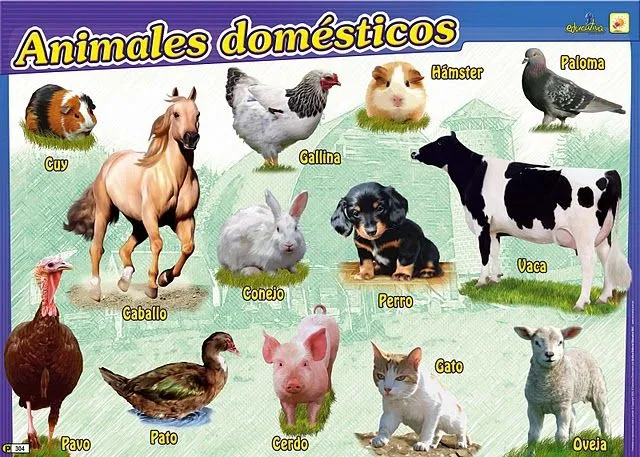 Actividades Escolares: ciencias- para dar todo sobre animales