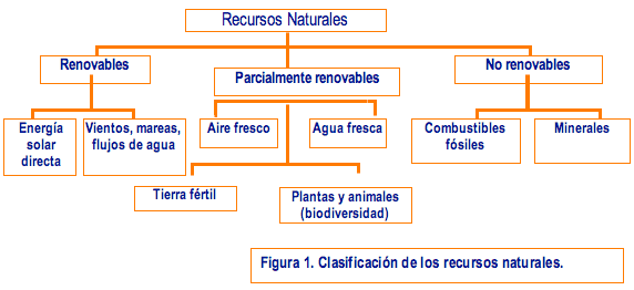 Actividades Escolares: recursos naturales