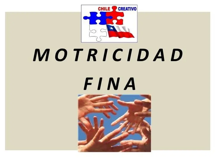 Actividades motricidad fina