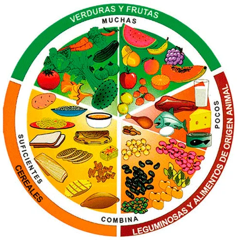 Mis Actividades de Primaria: La dieta correcta y su importancia ...