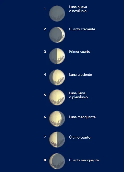 Mis Actividades de Primaria: Las fases de la Luna, Bloque 5, Tema1 ...