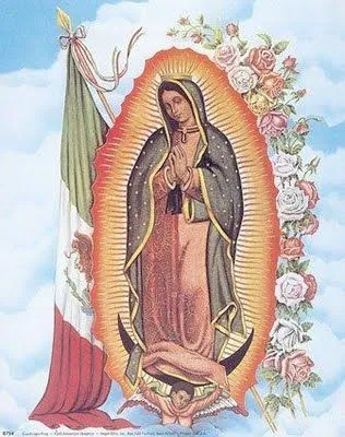 Actores La Rosa De Guadalupe | Consejos De Fotografía