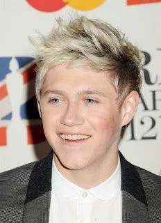 Actual 1D: Niall Horan Biografía