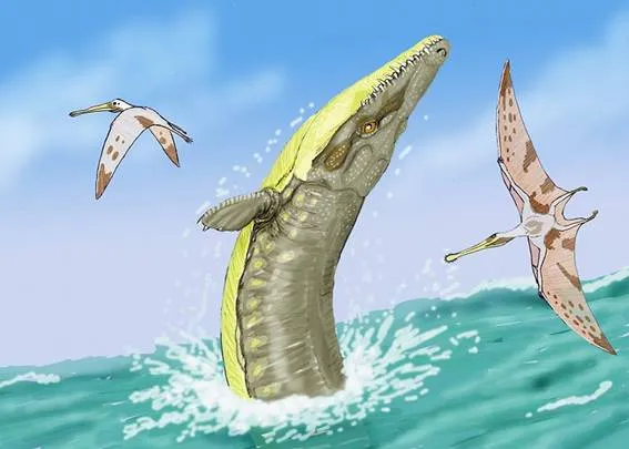 Adaptaciones Acuáticas de los Vertebrados - Monografias.