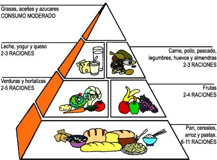 Adelgace.cl / Nutricion