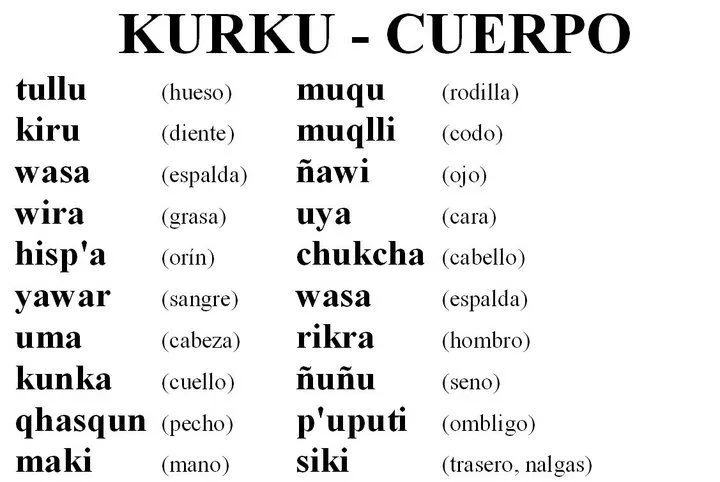 ADMIRADORES DEL IDIOMA QUECHUA: Partes del cuerpo humano en ...