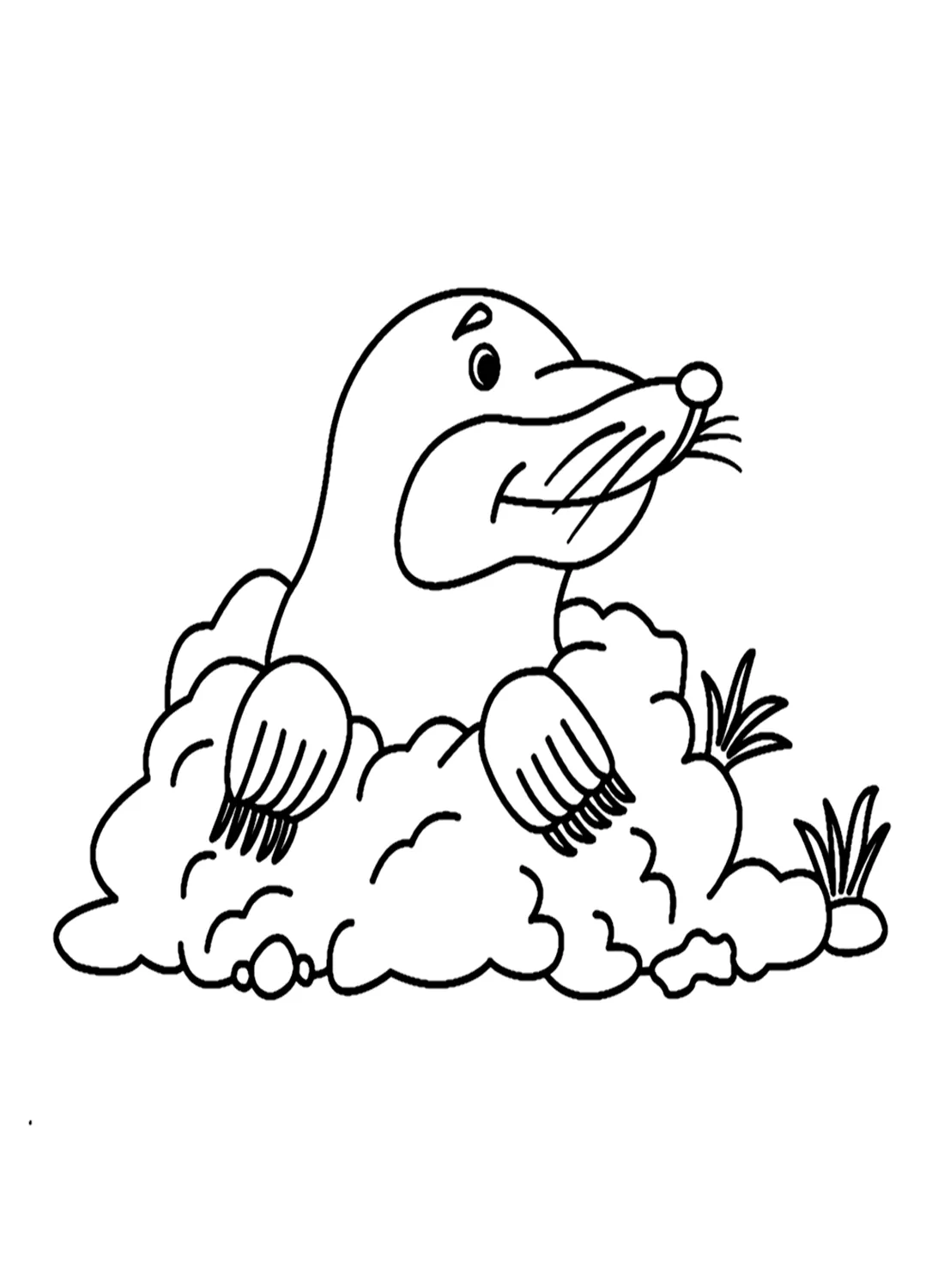 Adorable Mole Coloring Pages - Mole Coloring Pages - Páginas para colorear  para niños y adultos