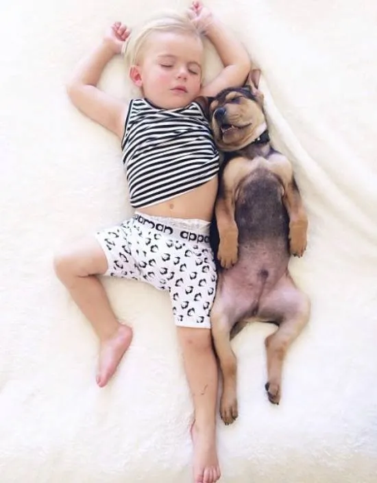 Adorables Fotos de Niños durmiendo la Siesta con Perros - Part 11