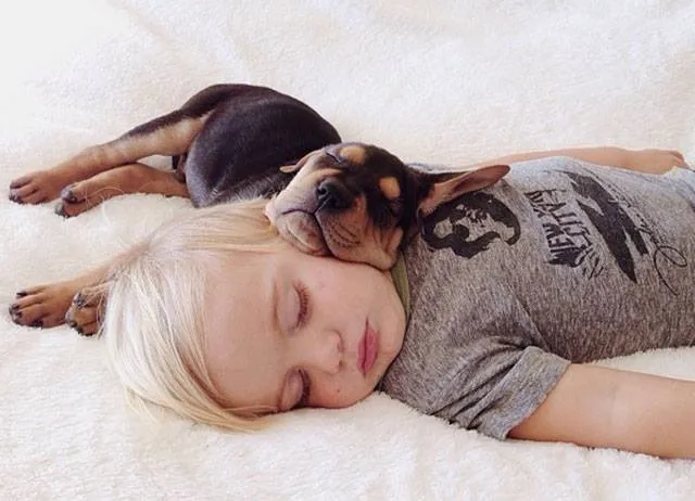 Adorables Fotos de Niños durmiendo la Siesta con Perros