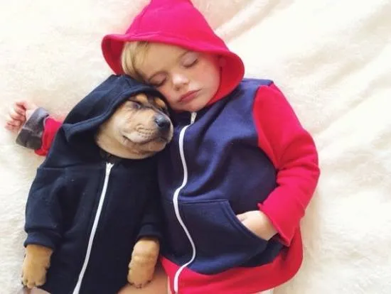 Adorables Fotos de Niños durmiendo la Siesta con Perros - Part 12