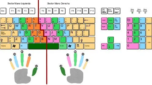 AFC Informática: Posición correcta de los dedos en el teclado.