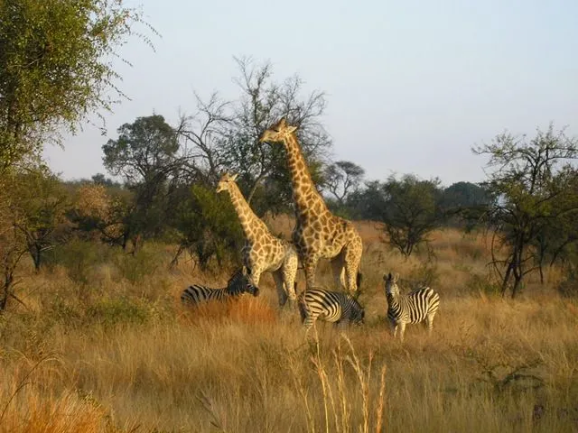 africa-077.jpg